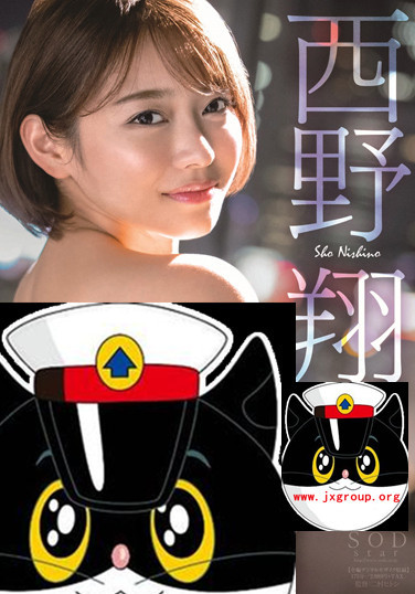 [STARS-219][西野翔]2020最新作品[老司机带路]